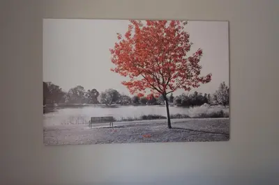 a red tree and a bench in front of a lake at Andriana' s apartment Agia Paraskevi in Athens