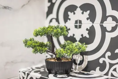 two bonsai trees on a table in front of a wall at Filia Place in Athens