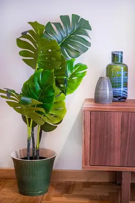 a plant in a green pot next to a wooden table at Photographers House in Athens