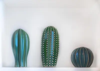 a group of three green cactuses on a shelf at Photographers House in Athens