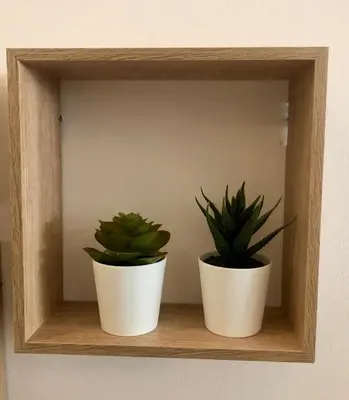 two potted plants sitting on a wooden shelf at Elenis Athens Apartment in Athens
