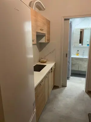 a kitchen with a sink and a refrigerator at Aris Apartment in Athens