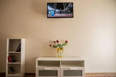 a vase with flowers on a table with a tv on the wall at Your apartment in Athens (Next to Metro & Acropolis) in Athens