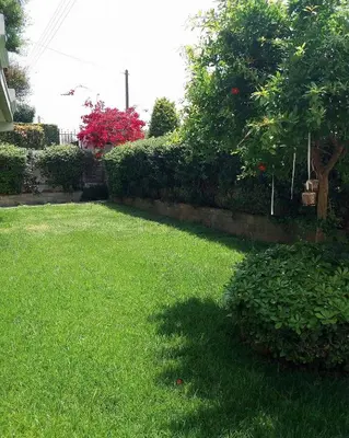 a yard with green grass and a hedge and a tree at Fantastic villa, a 5 minute drive from the beach! in Athens