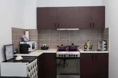 a kitchen with a stove and a microwave at Dimitras Apartment in Athens