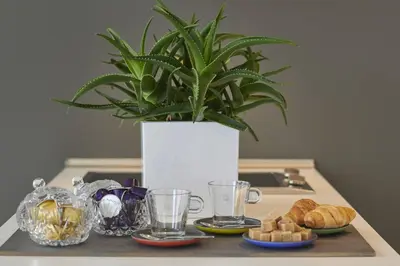 a plant in a vase on a table with pastries at Ma Maison No3 Downtown Loft,320Mbps,Acropolis Walk in Athens