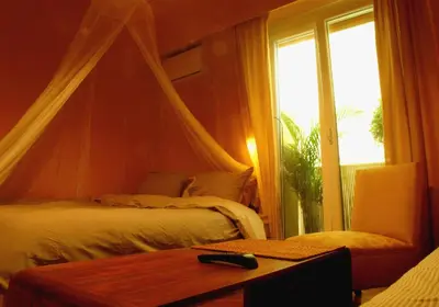 a bedroom with a canopy bed and a window at Homey and calm yet central (by the Hilton) in Athens