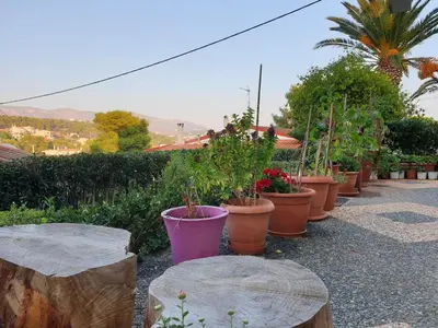 a row of potted plants sitting on a sidewalk at Vaso's country house near the beach and airport in Porto Rafti