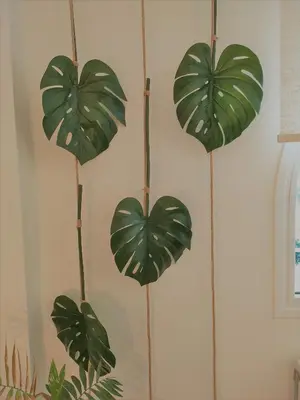 three green plants hanging on a wall at Luxury Garden Apartment Glyfada in Athens