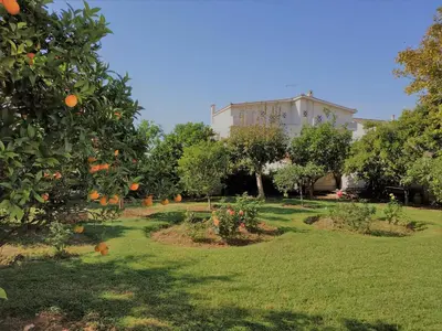 a garden with orange trees and a building in the background at Luxury Garden Apartment Glyfada in Athens