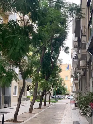 a street with trees on the side of a building at API Projects Athens - Parliament Apartment in Athens