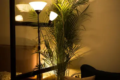 a floor lamp with a plant in a living room at Mosaics aprtm in Parliament square with Acropolis View 14 in Athens