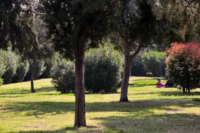 a person sitting in a park between two trees at Athens Sea view 2 floor apartment next to Marina in Athens