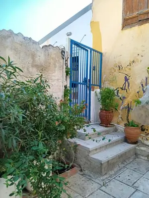 a house with a blue door and some plants at Under the Acropolis, tiny room, big terrace in Athens