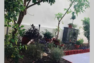 a garden with potted plants and trees and a wall at Modern hospitality, with private garden, Athens in Athens