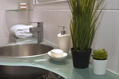 a bathroom counter with a sink and a plant at Comfortable apartment at the foot of the Odeon of Herodes Atticus in Athens
