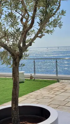 a tree in a planter next to the ocean at BEDWAVE Seaside Mansion in Piraeus