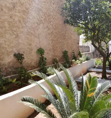 a garden with palm trees in front of a wall at Piraeus Suite~Ermioni Villas in Piraeus