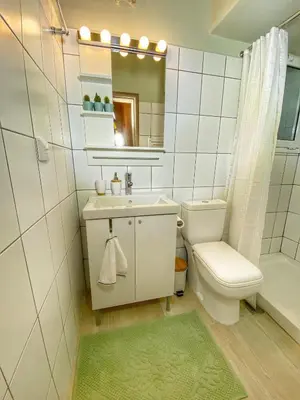 a bathroom with a toilet and a sink and a shower at For a genuine Athenian homestay! in Athens
