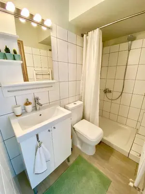 a bathroom with a sink and a toilet and a shower at For a genuine Athenian homestay! in Athens