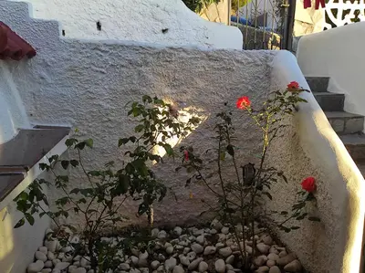 a garden with red flowers in a stone wall at WHOLE HOUSE NEAR THE BEACH WITH AMAZING VIEW in Kalívia Thorikoú