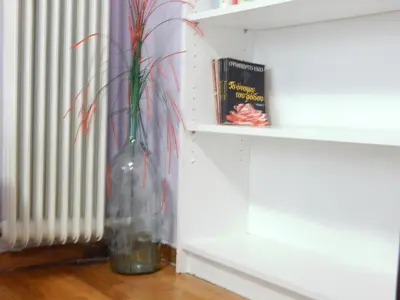 a vase with a plant in it next to a radiator at Feels Like Home 2 in Athens