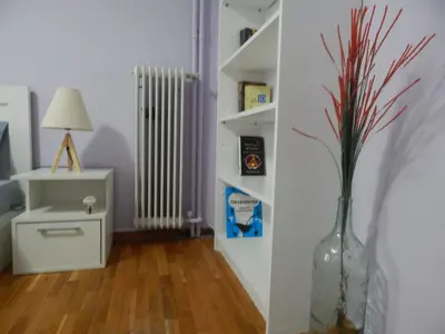 a room with a vase with a plant in it at Feels Like Home 2 in Athens