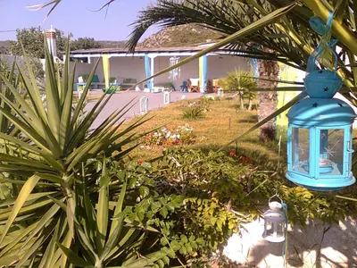 a blue lantern hanging from a tree in a garden at Helios Hotel in Agia Marina Aegina