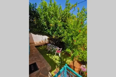 an overhead view of a yard with a tree and chairs at Cosy guest house with private yard in Saronida
