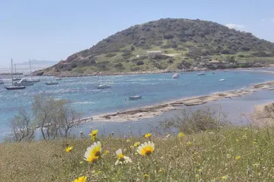 a view of a beach with boats in the water at Cosy guest house with private yard in Saronida