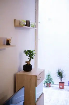 a living room with a tv and a plant on a dresser at Plato's Square Apartments in Athens