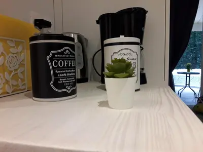 a counter with two coffee cans and a potted plant at Kolonaki Luxury backyard Studio in Athens
