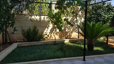 a garden with a palm tree in the grass at Renovated lovely apartment near airport & sea in Porto Rafti