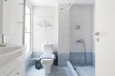 a white bathroom with a toilet and a shower at La maison de Philopappou in Athens