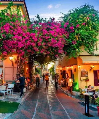 a group of people walking down a street with pink flowers at Acropolis Crib Spot in Athens