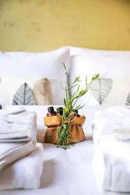a plant in a basket on a bed with towels at Eunoia Suite - Monastiraki Square View in Athens