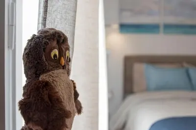 a stuffed owl is sitting on a window sill at EL GRECO Penthouse in Vibrant Petralona in Athens