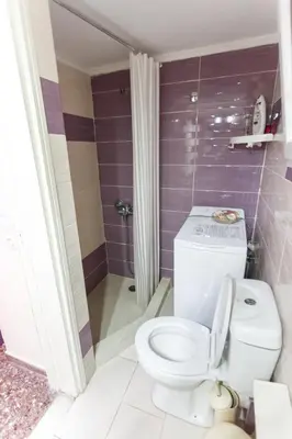 a bathroom with a toilet and a shower at Peonios Apartment in Athens