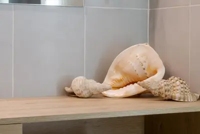 two stuffed shells sitting on a wooden shelf at Koios Apartments in Athens