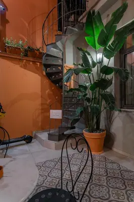 a room with a potted plant and a staircase at Vagabond Guesthouse in Athens
