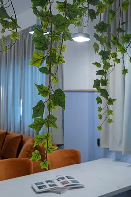 a plant with green leaves hanging from a table at Acro Urban Suites in Athens