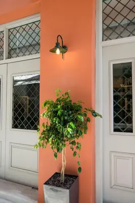 a potted plant in front of a door at Metis Urbane Living Spaces in Athens