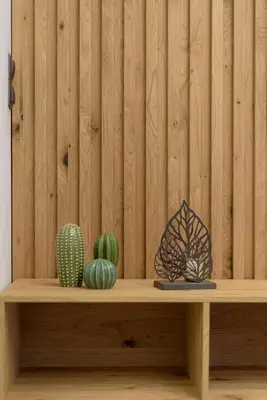 a wooden shelf with two cactuses on top of it at Acropolis Deluxe Apartment in Athens