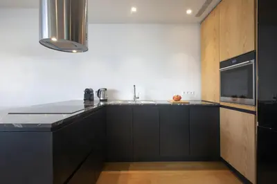 a kitchen with black cabinets and a black refrigerator at Luxury Acropolis Rooftop Apartment in Athens