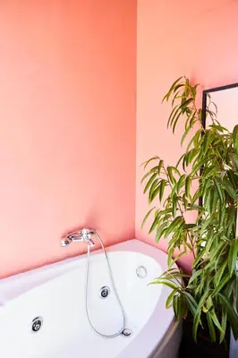 a bathroom with a bath tub with a plant at Mosaics Athens Penthouse with Acropolis view in Athens