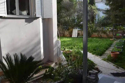 a garden with plants and a building with a window at h2h Anthi #Comfort apt near Athens in Athens