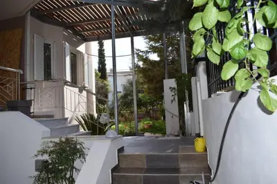 a porch of a house with stairs and plants at h2h Anthi #Comfort apt near Athens in Athens