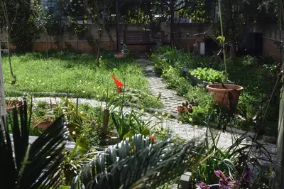 a garden with many plants and a pathway at h2h Anthi #Comfort apt near Athens in Athens