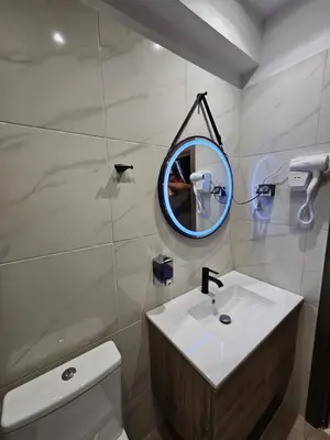 a bathroom with a sink and a mirror and a toilet at Lemon Tree Inn in Markopoulo