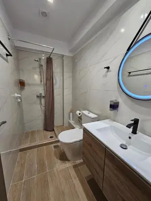 a bathroom with a toilet and a sink and a shower at Lemon Tree Inn in Markopoulo